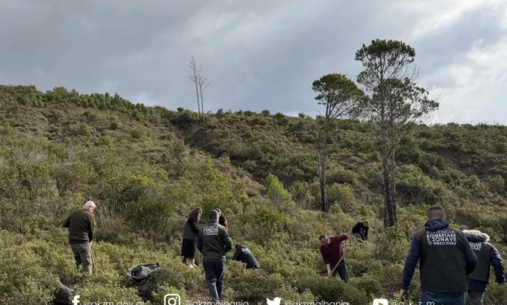 Rama: Pyjeve tona i janë shtuar 360 mijë fidanë të rinj