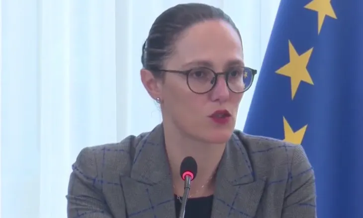 Reforma e inspektorateve, Ibrahimaj: Gjoba nuk do të jetë masa e parë, qasje lehtësuese ndaj bizneseve