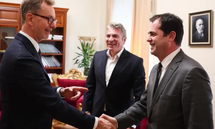 Reforma zgjedhore, Gonzato takon Gjiknurin dhe Bylykbashin: Të rritet transparenca në financimin e partive