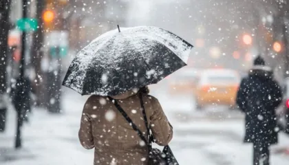 Reshje shiu intensive gjatë 24 orëve, IGJEUM: Qarqet më të rrezikuara