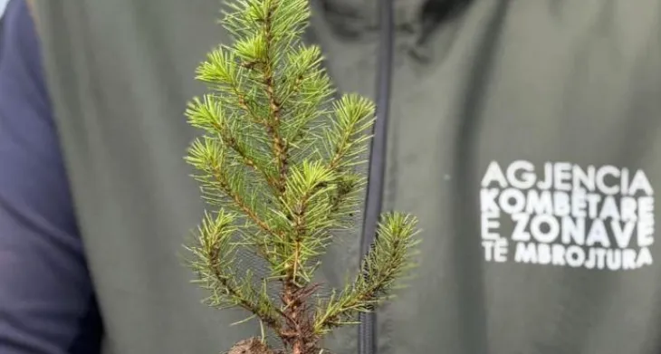 Rikuperim i ekosistemeve, Rama: Pyjeve tona i janë shtuar 360 mijë fidanë të rinj!