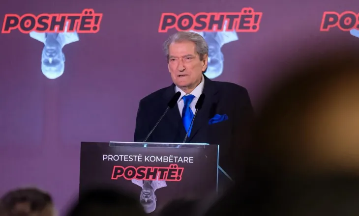 Rrëzimi i bustit të Enver Hoxhës, Berisha: Hitleri i pasluftës! Guximtarët përmbysën kultin e satanit