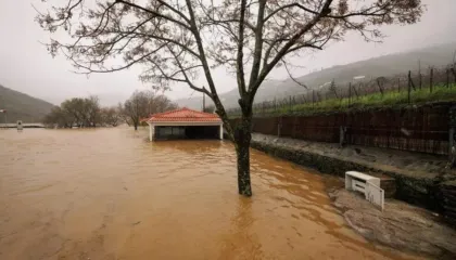 Rritet numri i viktimave nga moti i keq në Portugali