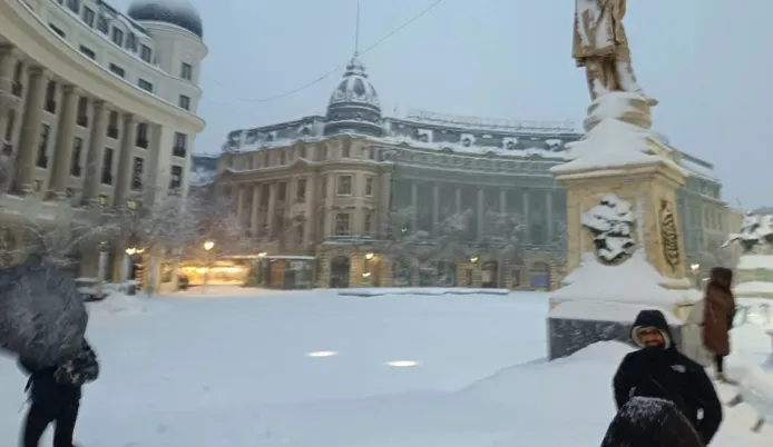 Rumania goditet nga stuhia e dëborës, 166 mijë familje pa energji elektrike