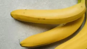 Sa të shëndetshme janë bananet