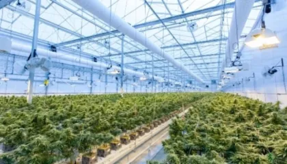 Sasia më e madhe e konfiskuar ndonjëherë, policia e Maqedonisë së Veriut sekuestron mbi 30 tonë kanabis