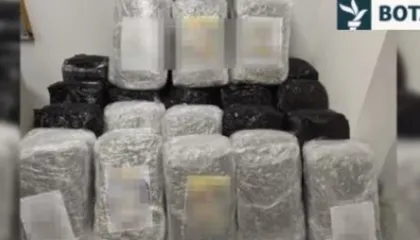 Sekuestrimet më të mëdha të drogave në Ballkanin Perëndimor