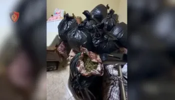 Sekuestrohen 57 kg kanabis, arrestohen dy persona në Vlorë