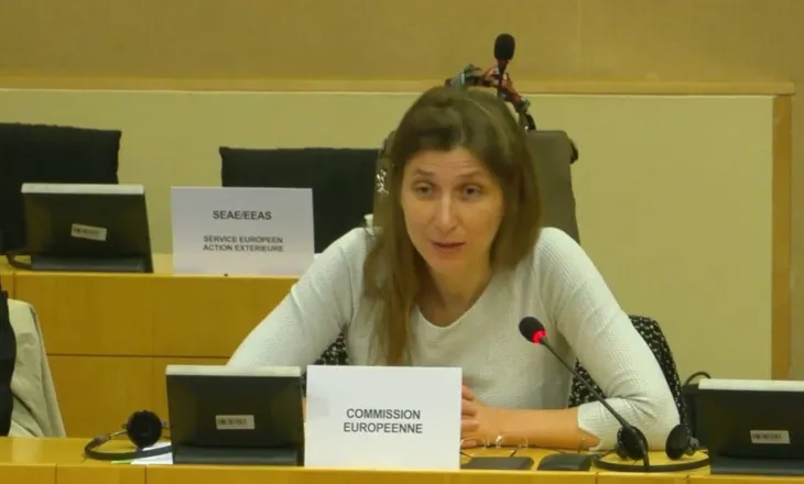 Shefja e Njësisë për Shqipërinë në Bruksel flet në seancën e PE-së: Polarizimi politik po kufizon mbikëqyrjen parlamentare, të forcohet gjyqësori