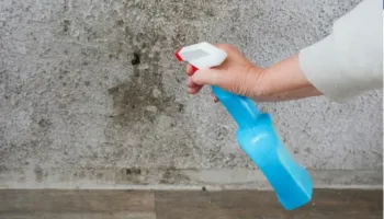 Shenjat që tregojnë se apartamenti juaj po përkeqësohet nga lagështia – vetëm lyerja nuk do ta zgjidhë problemin