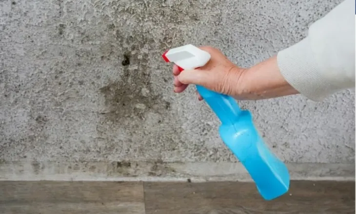 Shenjat që tregojnë se apartamenti juaj po përkeqësohet nga lagështia – vetëm lyerja nuk do ta zgjidhë problemin