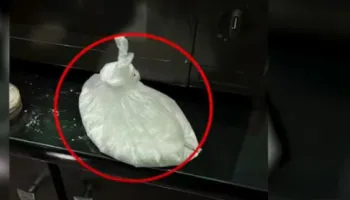 Shisnin kokainë në një lokal në Kukës, përfundojnë në pranga tre persona