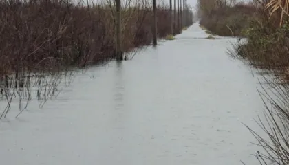 Shkarkimet në tre hidrocentralet e kaskadës së Drinit, përmbytet sërish Oboti! Niveli i ujit arrin në 50 cm