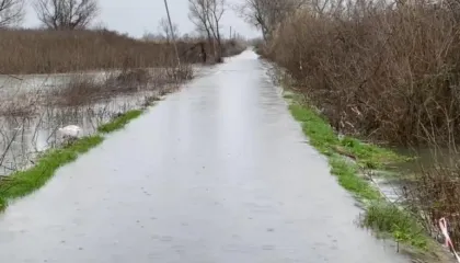Shkodër/ Vijojnë shkarkimet nga 3 HEC-et e Kaskadës së Drinit, rruga e Obotit ende e bllokuar