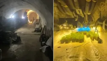 Shkodër/ Zbulohen 670 bimë kanabisi në një tunel, 3 në pranga dhe 3 në hetim(EMRAT)