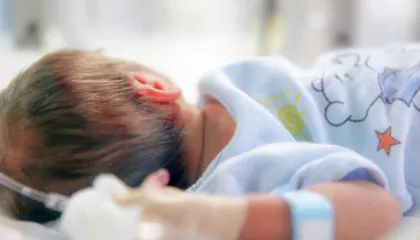 Shqipëria rritet vetëm në Tiranë, 7 qarqe drejt shuarjes natyrore