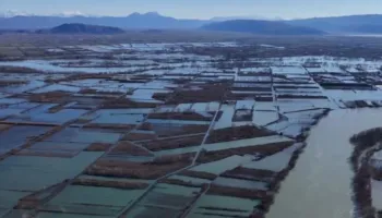 Si do të funksionojë sigurimi i detyruar në bujqësi? – Skemë më vete/ Një pjesë e primit paguhet nga shteti dhe…