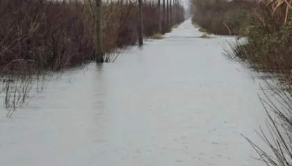 Situata e reshjeve në Shkodër, Drini në rënie, Oboti vijon të përballet me përmbytje