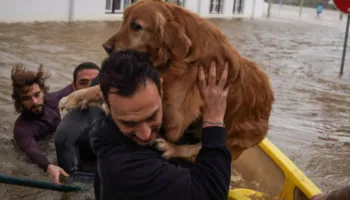 Stuhi shkatërrimtare në Gadishullin Iberik, kërkohet shtyrja e zgjedhjeve presidenciale në Portugali