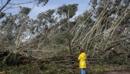 Stuhia Christine goditi Portugalinë/ Vendi pëson 2 miliardë euro dëme nga moti i keq