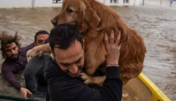 Stuhia “Leonardo” godet gadishullin Iberik, kërkohet shtyrja e zgjedhjeve Presidenciale në Portugali
