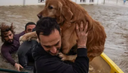 Stuhia “Leonardo” godet gadishullin Iberik, kërkohet shtyrja e zgjedhjeve Presidenciale në Portugali