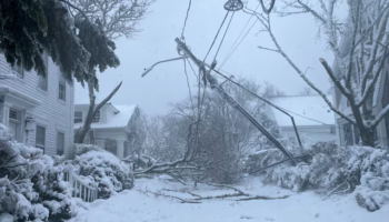 Stuhia ‘paralizon’ SHBA-të: 7 shtete në emergjencë, miliona njerëz të bllokuar dhe 7 400 fluturime të anulura