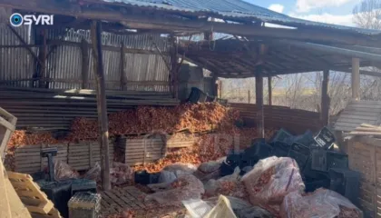 SYRI TV/ Stok prodhimesh në Orman të Maliqit, fermerët të zhgënjyer e pa mbështetje nga shteti