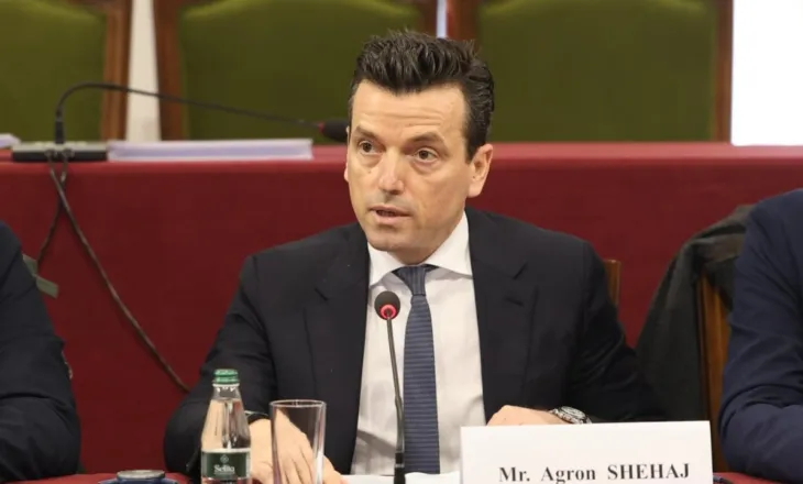 Takimi me David McAllister, Agron Shehaj: Nuk kërkojmë mbështetje për partitë politike, por për drejtësinë