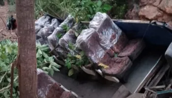 Të paktën 14 të vdekur në aksidentin me autobus në Bolivi