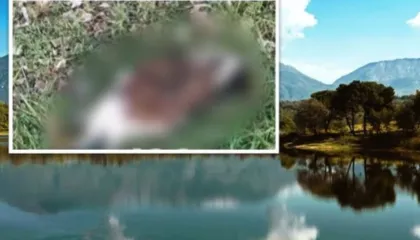 Të shtëna me çifte te liqeni i Tiranës, dyshohet se…