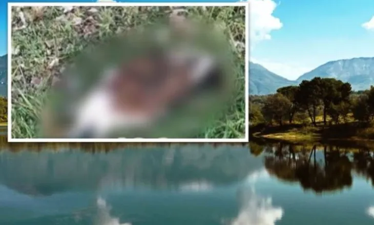 Të shtëna me çifte te liqeni i Tiranës, dyshohet se…