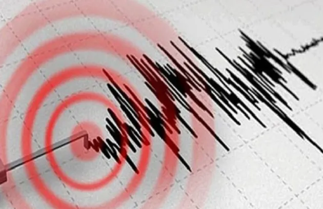 Tërmet i fortë godet verilindjen e Shqipërisë, 4.8 ballë. Ka dëmtime të vogla në banesa