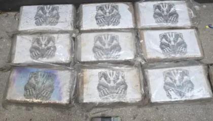 Trafik kokaine në sasi të mëdha/ Shkatërrohet klani i tretë shqiptar brenda një viti në Vigo të Spanjës