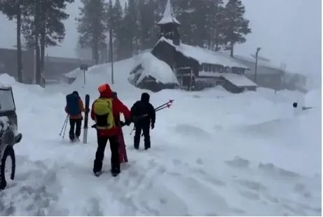 Tragjedi në Kaliforni, orteku i merr jetën 8 skiatorëve