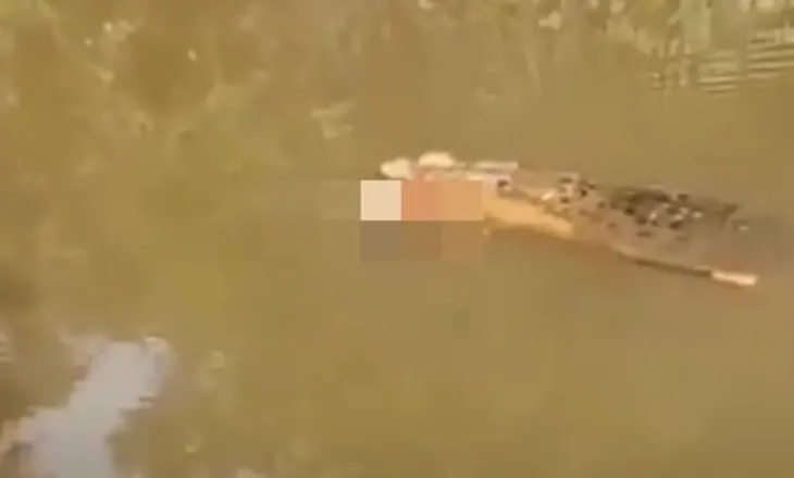 Tragjike në Indonezi, 35-vjeçarja humb jetën pasi sulmohet nga një krokodil, ishte futur në lumë për të mbledhur midhje