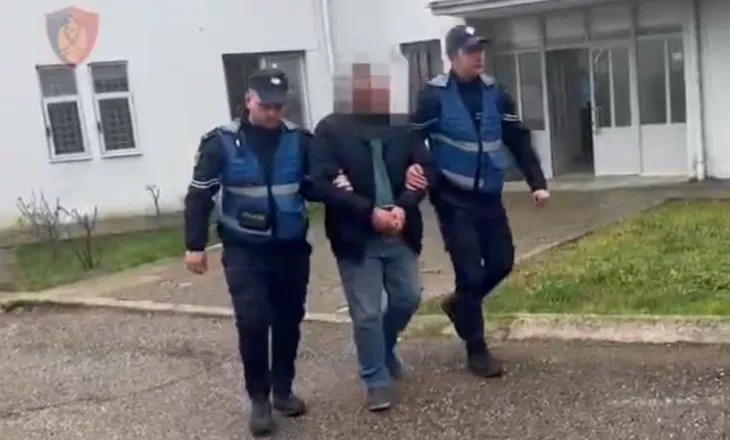 Tre të arrestuar në Gjirokastër, pajisën 16 kamionë me certifikata të falsifikuara