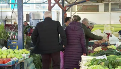 TVSH nuk ndjek rritjen e çmimeve, ekspertët: Evazioni dhe oligopoli po dëmton tregun, fitimet nuk shkojnë në buxhet siç duhet