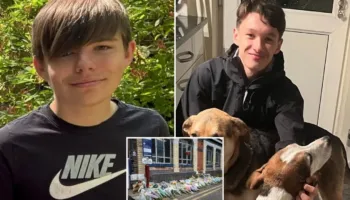 U akuzua për abuzim seksual/ 16-vjeçari hidhet mbi shinat e trenit, humb jetën tragjikisht bashkë me shokun që tentoi ta shpëtonte