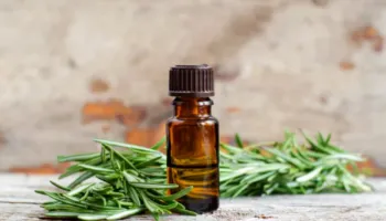 Vaji i rozmarinës një mrekulli për përdorim pas të 40-ave, ja pse