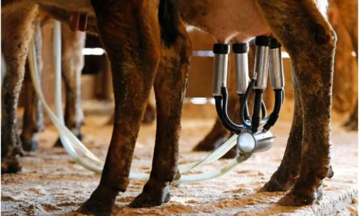 Vdekja e një foshnjeje lidhet me gjasë me pirjen e qumështit të…