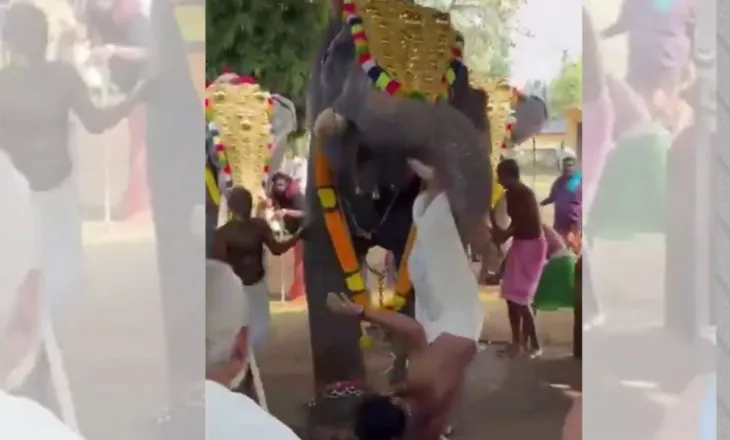 Video/ Po performonin gjatë një festivali fetar në Indi, elefanti plagos rëndë të riun, e hedh disa metra në ajër dhe…