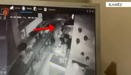 Vodhën materiale dhe shuma parash në një biznes në Kamëz, prangosen dy të rinjtë