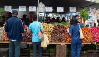 Zarzavatet kthehen në mall luksi, pse po na kushtojnë kaq shtrenjtë