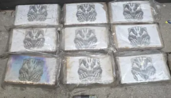 Zbulohen 80 kg kokainë në kontejner/ Kapen mat dy shqiptarë në Spanjë, droga vinte nga Ekuadori