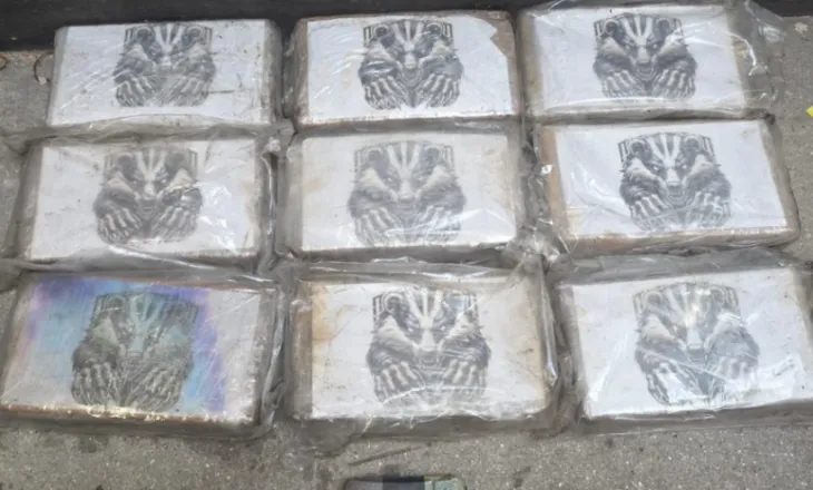 Zbulohen 80 kg kokainë në kontejner/ Kapen mat dy shqiptarë në Spanjë, droga vinte nga Ekuadori