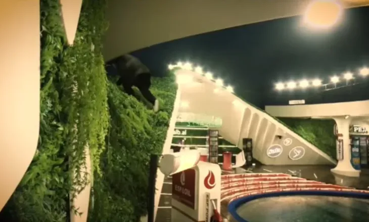 Zbulohet arsyeja e përjashtimit të Kristit nga shtëpia e BBV, u largua sërish nga muri rrethues