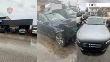Zbulohet në Patos subjekti ku çmontoheshin dhe shiteshin pjesë automjetesh kontrabandë