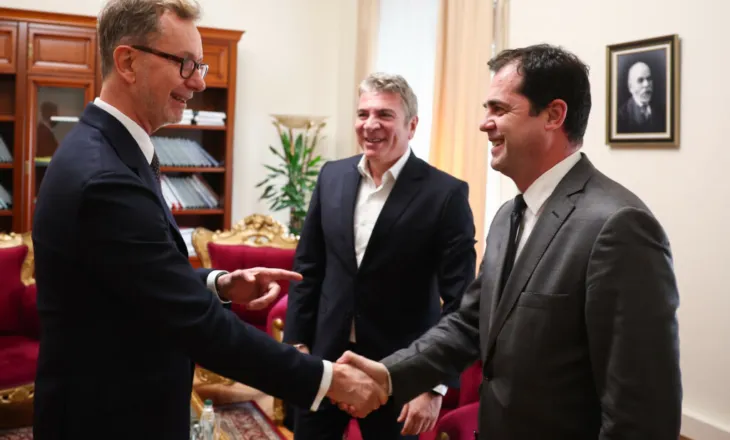 Zgjedhorja, Gonzato takim me Gjiknurin e Celibashin: Të përmbushë standardet ndërkombëtare