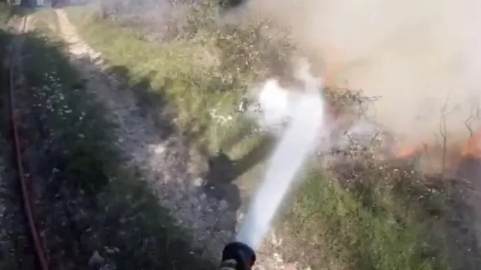 Zjarr në kodrat e fshatit Risili, digjen disa rrënjë ullinjsh, dyshohet i qëllimshëm